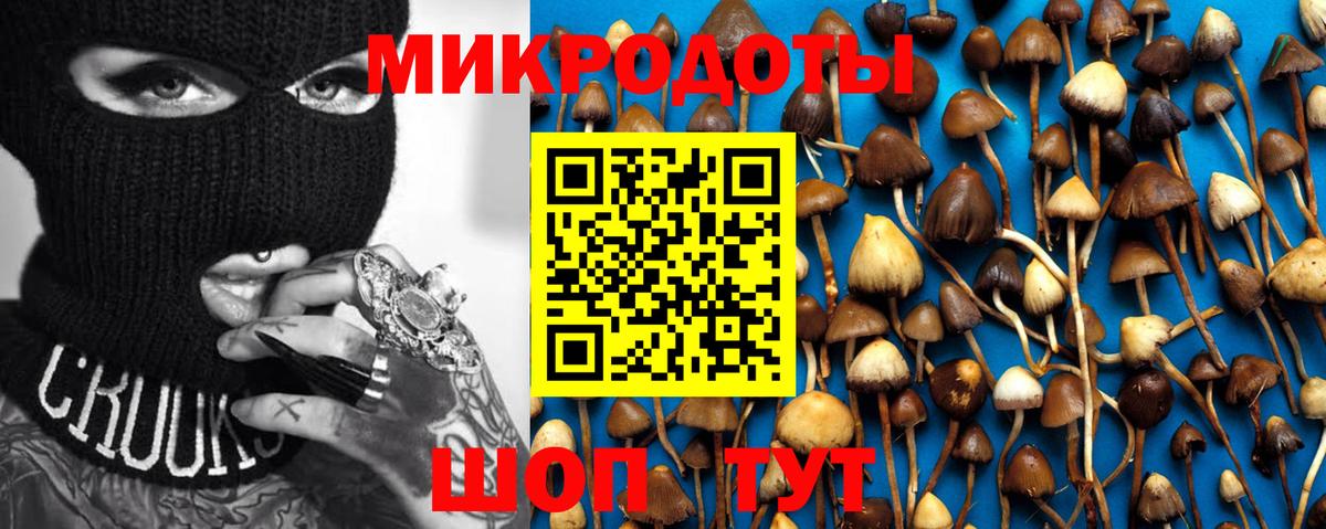 Псилоцибиновые грибы прущие грибы  Вход с VPN  Заводоуковск 
