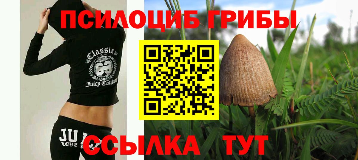Галлюциногенные грибы мухоморы Заводоуковск